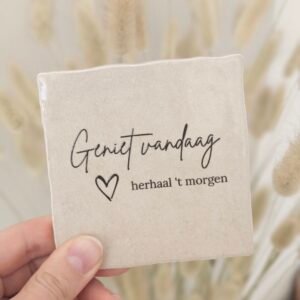 Tegeltje 'Geniet vandaag'.