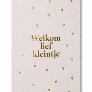 Kaartje 'Welkom lief kleintje'.